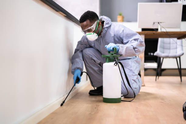 Best Bed Bug Extermination  in Edgecliff Village, TX